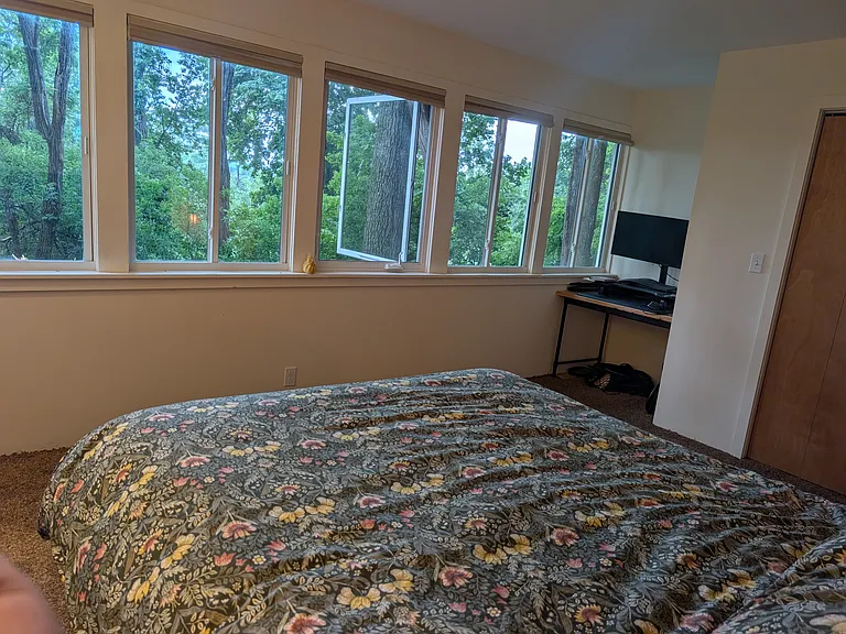 2 Forrest Ln — Photo 13
