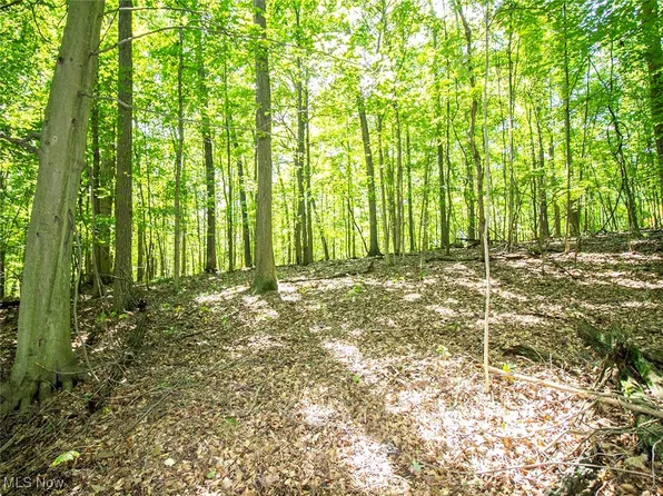 Mishey Rd, Bellville, OH 44813