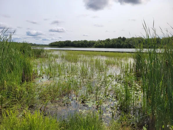 Woodbury Dr, Wright, MN 55798