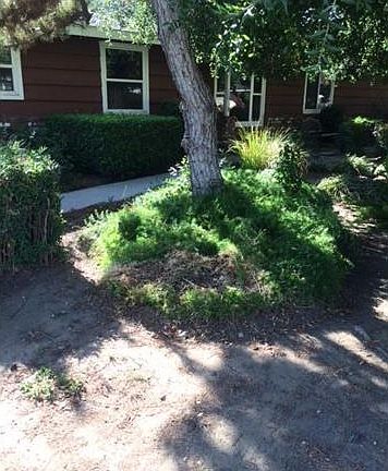 3rd image of 743 S Fircroft Ave