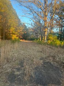1276 Saint Paul Church Rd, Calhoun Falls, SC, 29628