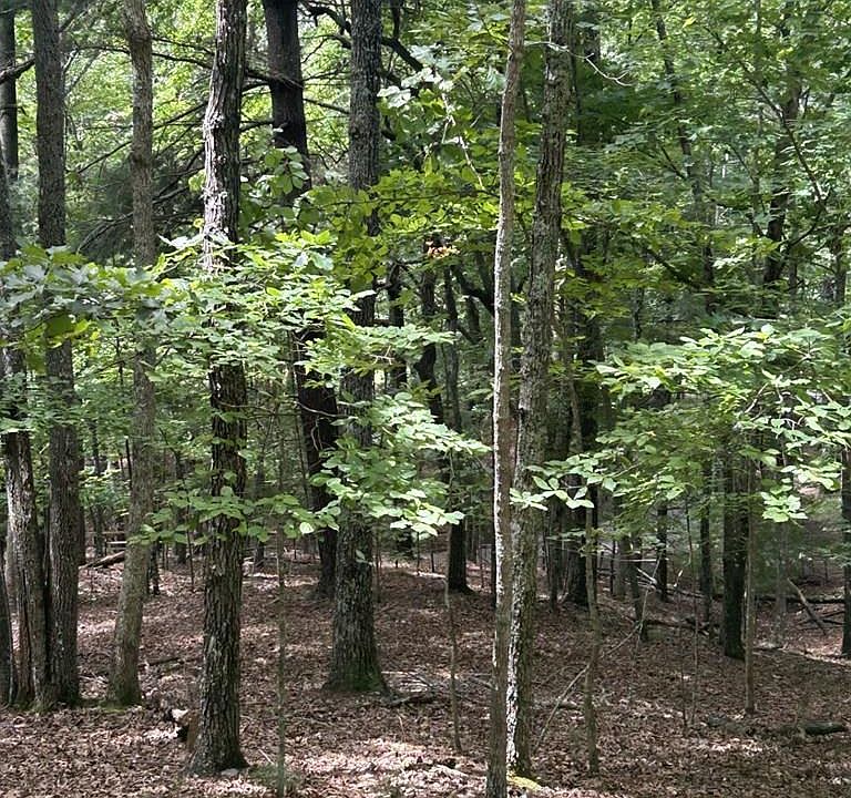 1st image of 1.5 Liberty Hill Rd