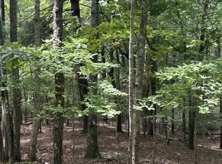 1.5 Liberty Hill Rd, Morganton, GA 30560