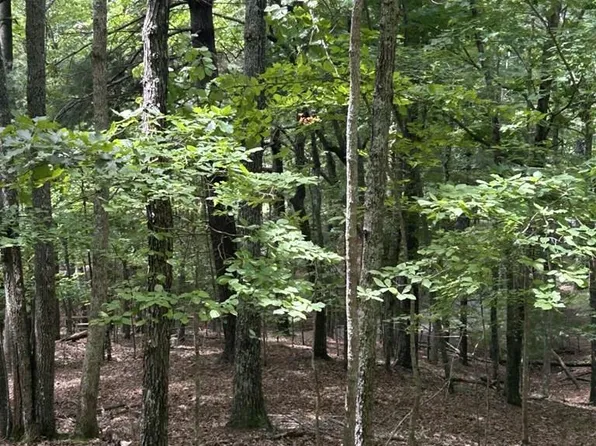 1.5 Liberty Hill Rd, Morganton, GA 30560