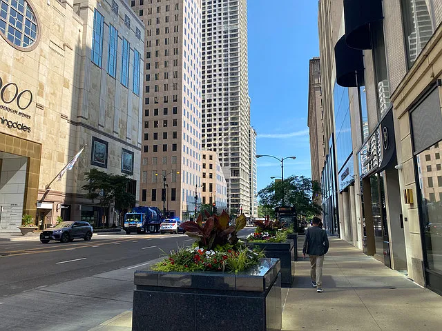 200 E Delaware Pl #4DE — Photo 45