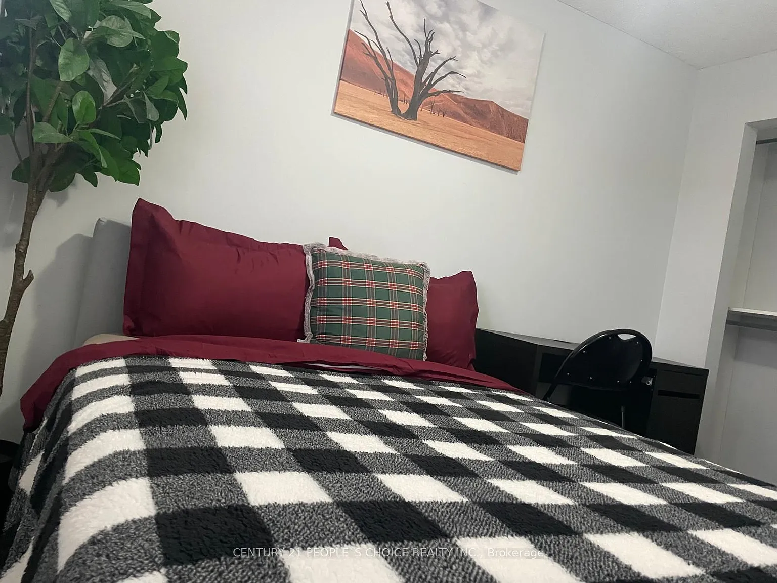 1 bed, $995 — Photo 2