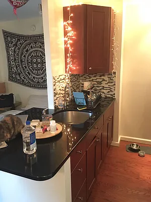 Rented by Lang Realty LLC | media 3