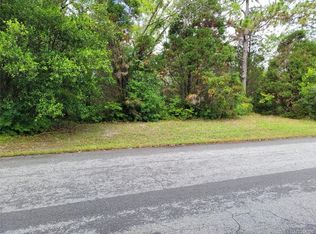 6 Fiddlewood Ct, Homosassa, FL 34446