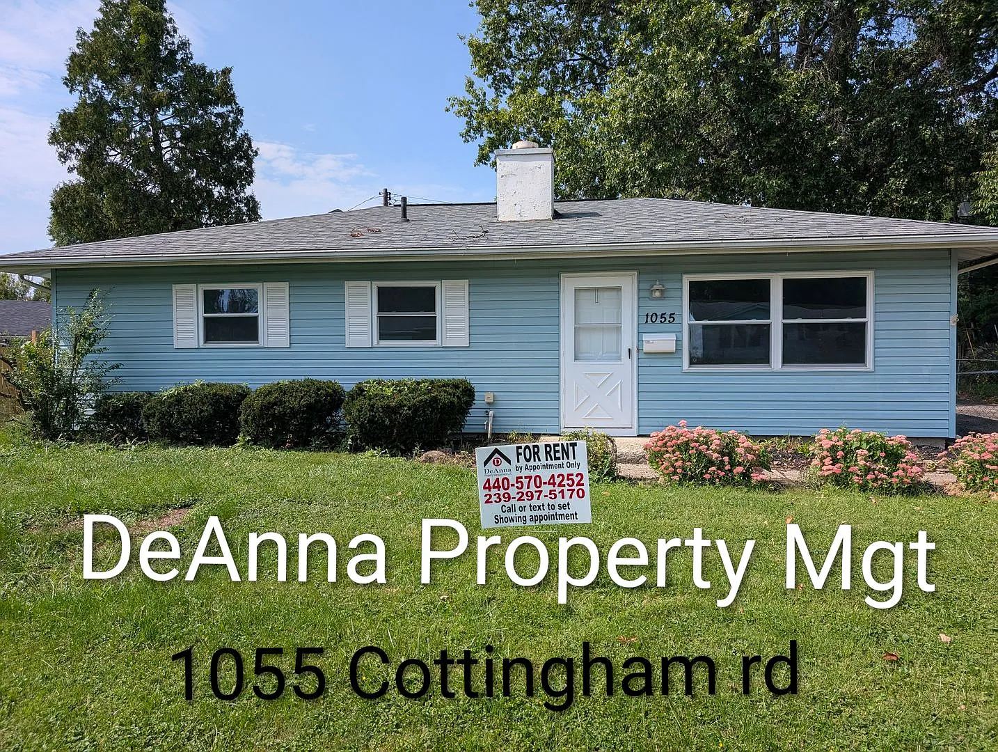 Spacious 3 bedroom Ranch — Photo 1
