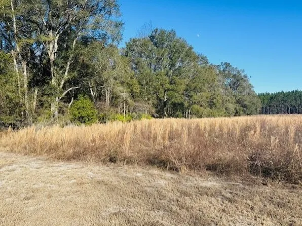 2239 NW County Road 138, Branford, FL 32008