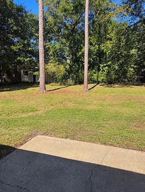 3 bed, 1500 sqft, $1,375 — Photo 4