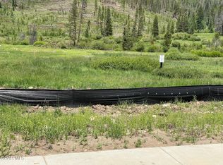 250 Beavers Lodge Rd, Winter Park, CO 80482