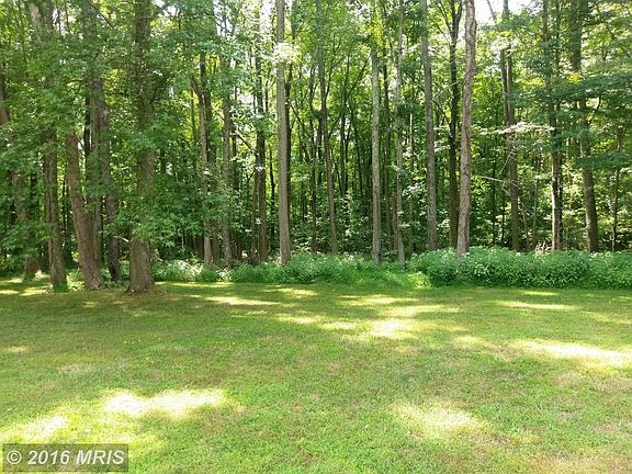 View from the Patio Backing to Woods