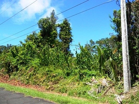 2nd image of Lai St Lot 9