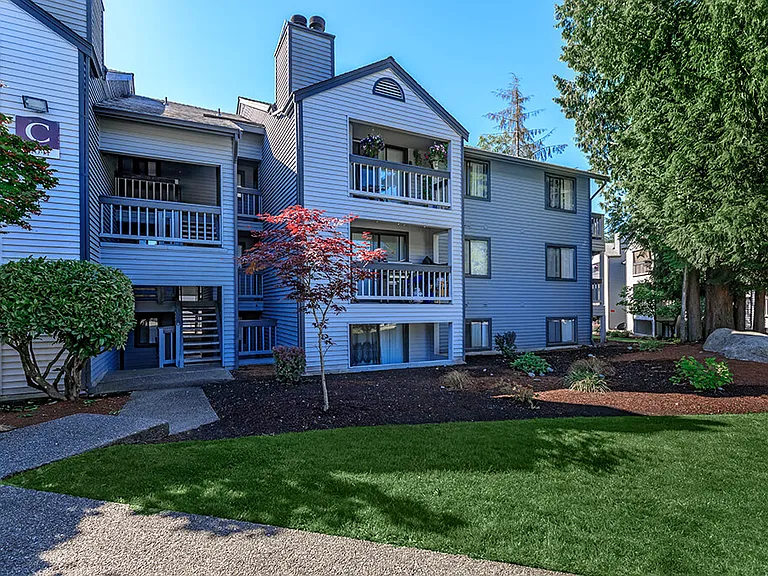 Alvista 240 — Photo 17