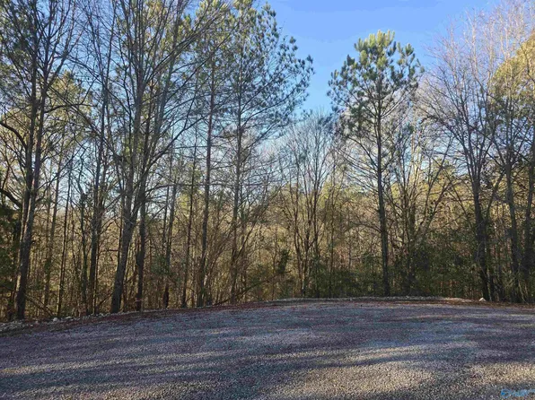 1-2 Gallant Cv #3, Gallant, AL 35972