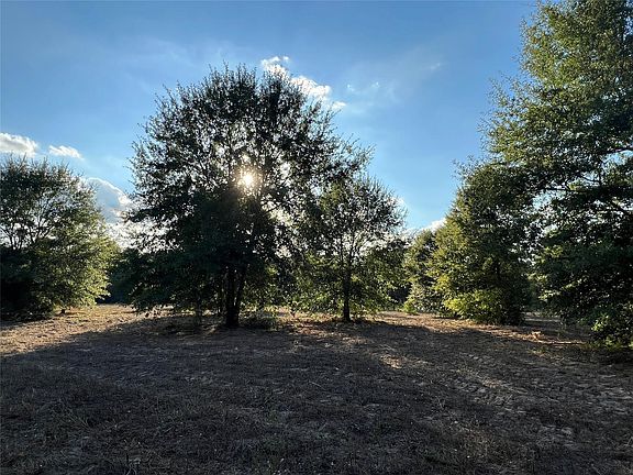 5th image of 4604 Highway 105 E