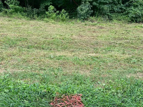 LOT 4 Elmer Moore Rd Lot 4, Siler City, NC 27344