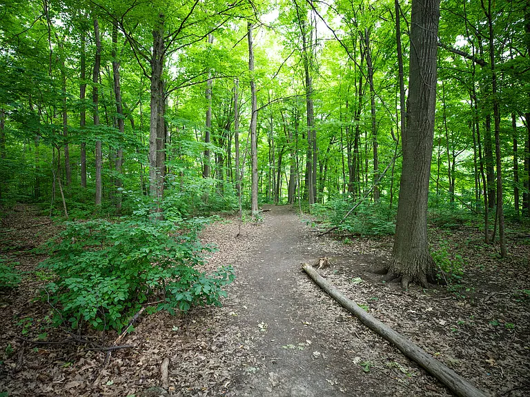 30 Elm Dr E — Photo 14