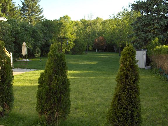 back yard