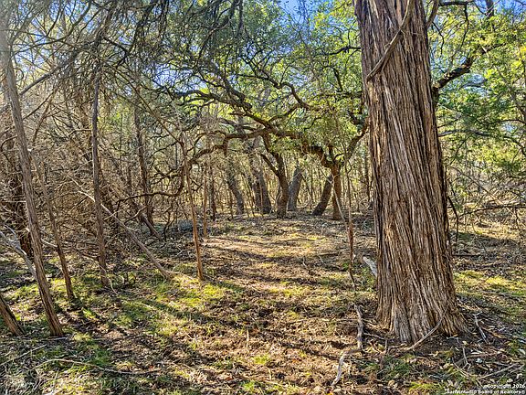 4th image of 2095 Desiree Street LOT 550