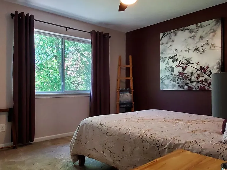 910 Mount Sopris Dr — Photo 6