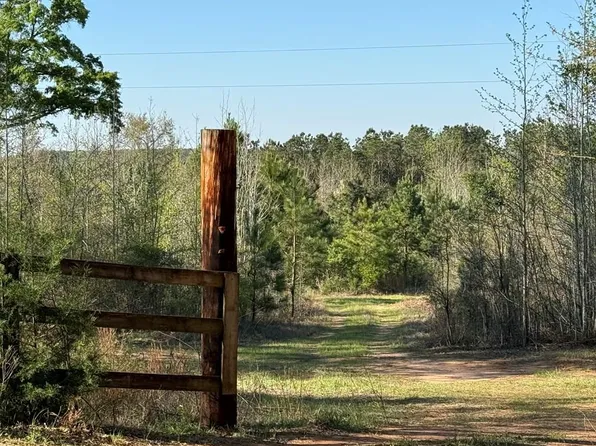 0 County Road 6639, Banks, AL 36005