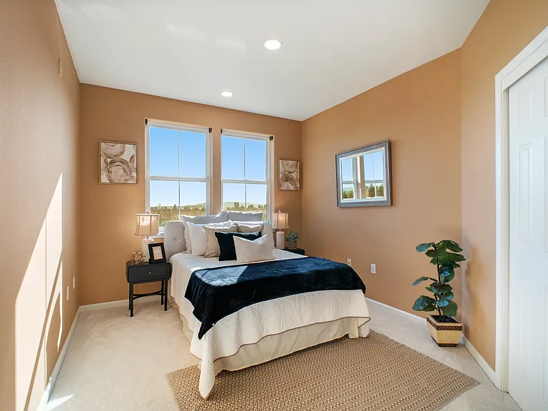 49002 Cinnamon Fern Cmn #402 — Photo 37