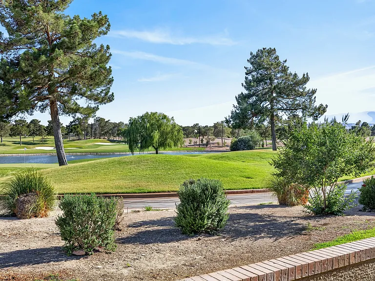 The view from your patio overlooking pine trees, palm trees, lakes and golf course