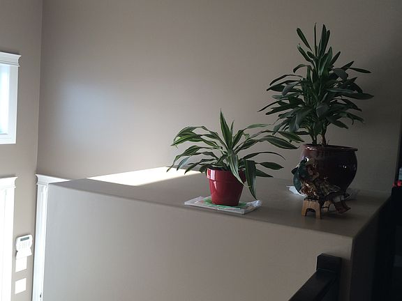 2nd image of 1126 Hargreaves Way #A
