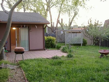 Lush greenery in backyard - apple, fig, cherry, and grapes