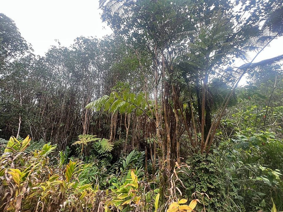 2nd image of 18-2013 Road 11 Lot 678