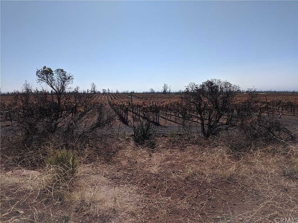 1st image of 4501 Wilder Dr