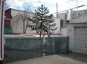 2nd image of 1130 60th St