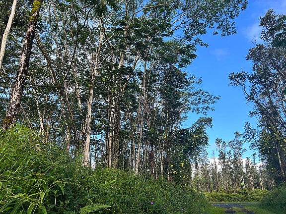4th image of Pahoa Rd Lot 238