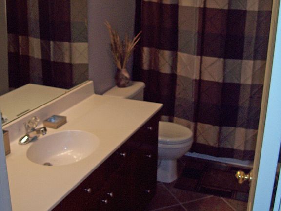 Upstairs Guest Bath remodel