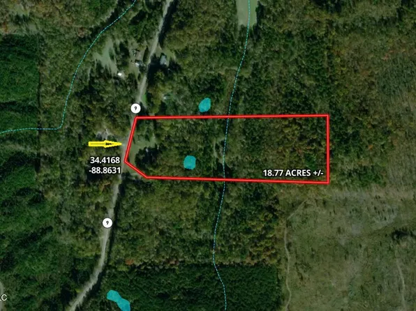 9 Highway, Blue Springs, MS 38828