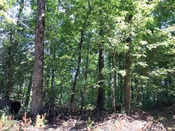 0 William Sluder Rd #3, Ellijay, GA 30540