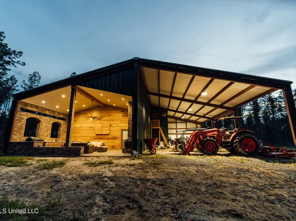 1954 Jerico Loop, Mc Lain, MS 39456