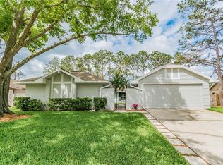 4209 Interlake Dr, Tampa, FL 33624