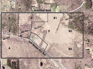 Peacefield Rd, Pine city, NY 14871