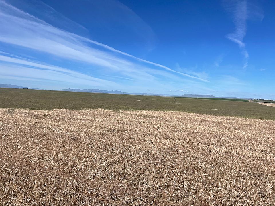2nd image of Polish Rd