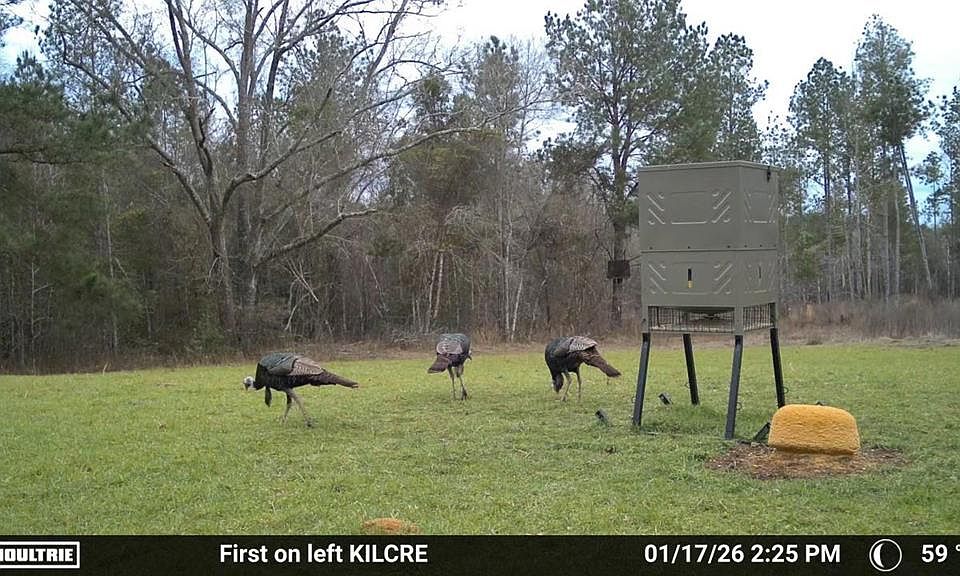 1st image of 0 Banks St