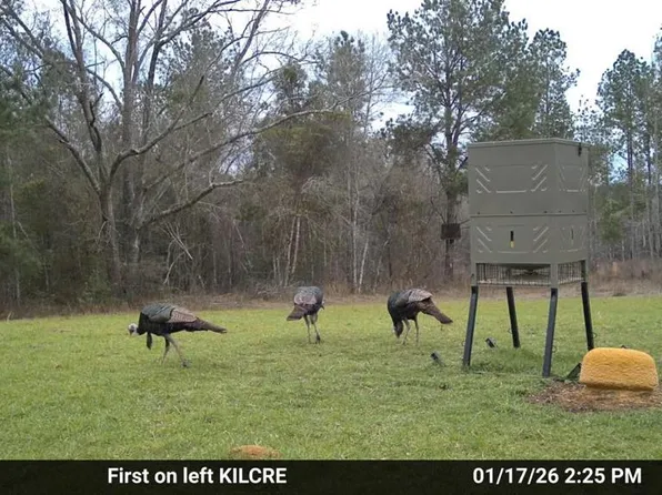 0 Banks St, Troy, AL 36081