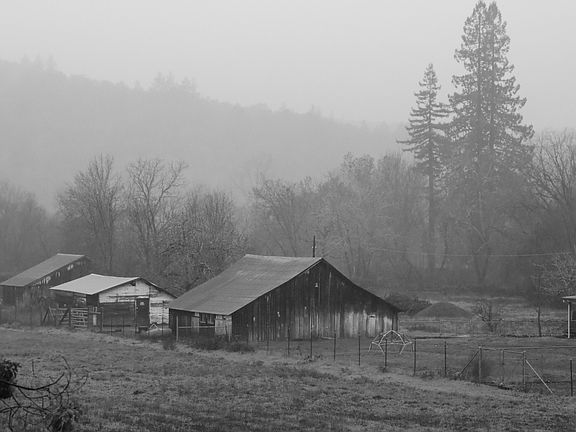5th image of 203 Libby Ave