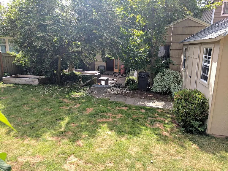 Back Yard