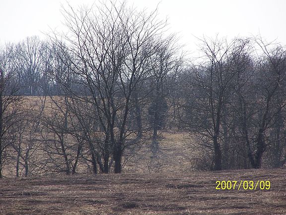 great for cattle, farming, hunting, subdividing