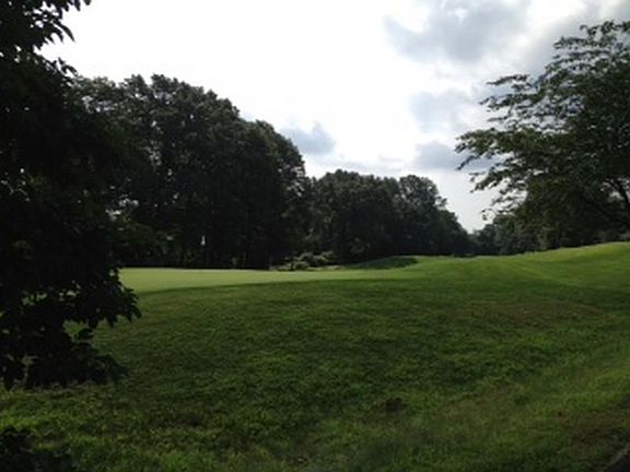 Fairway View