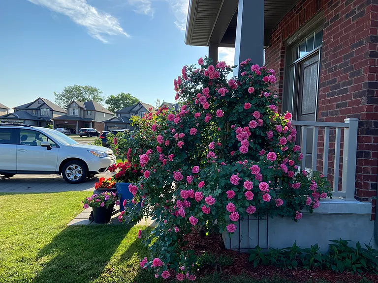 1531 Horseshoe Cres #1 — Photo 16