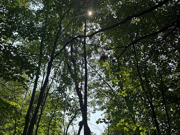 4th image of Woodstock Rd